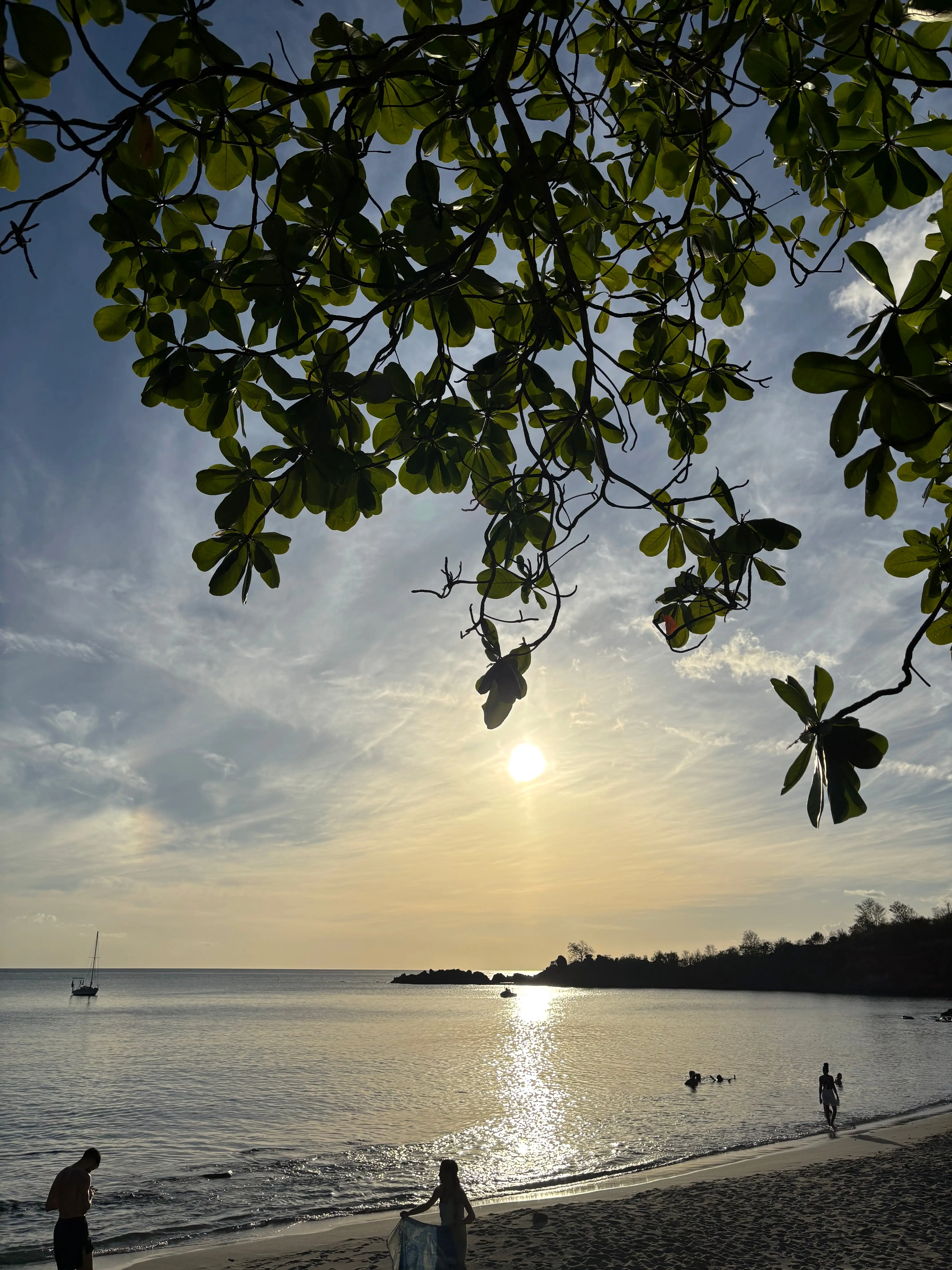 La plage sous les amandiers
