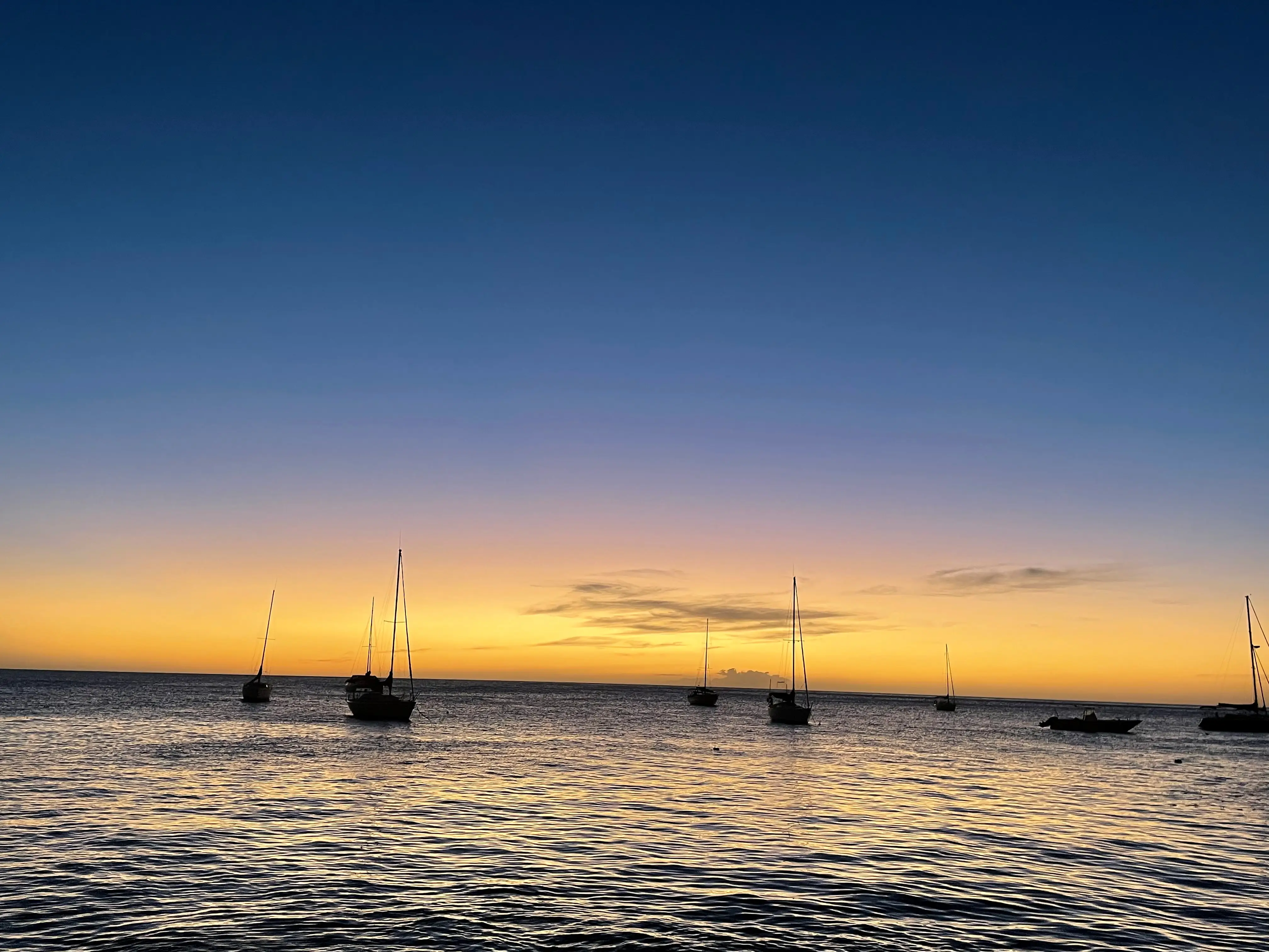 Voiliers sur un horizon doré